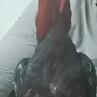 خروس لاری افغان اصیل