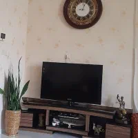 زیر تلویزیونی