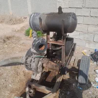 مارگو 10اسب