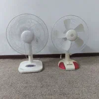 پنکه سانی