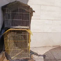 قفس پرنده|لوازم جانبی حیوانات|اهواز, آسیاباد|دیوار