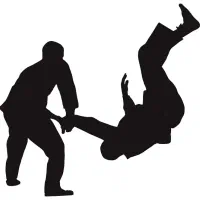 آموزش دفاع شخصی پیشرفته و هوشمند