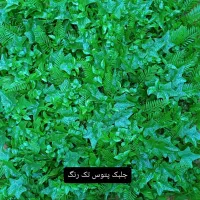 فنس برگی ریحانی رشته ای آکاردئون گرینوال دیوارسبز|مصالح و تجهیزات ساختمان|اصفهان, خواجو|دیوار