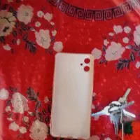 گاردگوشی  a05