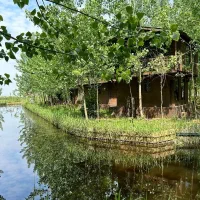 جایی میان رویا/واقعیت|فروش خانه و ویلا|اسلامشهر, شهرک احمدیه|دیوار