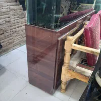 آکواریوم شیشه خم|ماهی|قم, چهار مردان|دیوار