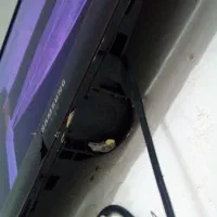 ال سی دی ۴۳ اینچ سامسونگ|تلویزیون و پروژکتور|گنبد کاووس, |دیوار