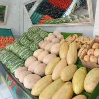 پالت میوه فروشی|فروشگاه و مغازه|اندیشه, اندیشه فاز ۵|دیوار