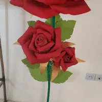 گل رز