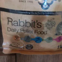 خوکچه هندی|موش و خرگوش|کرمان, |دیوار