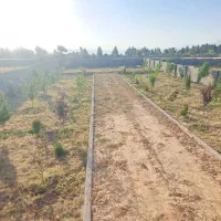 باغ شهری دالین