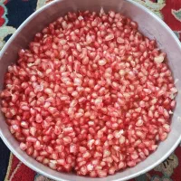 فروش انار درجه یک و انار ربی دانه قرمز