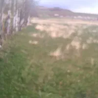 فروش-باغ-با-موقیت-مناسب