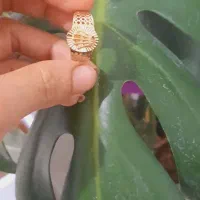 النگو و زنجیر و انگشتر طلا|جواهرات|برازجان, |دیوار