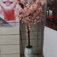 درختچه مصنوعی|گل مصنوعی|ایلام, |دیوار