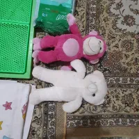 لوازم مورد نیاز پِت|لوازم جانبی حیوانات|کاشان, آیت الله سعیدی|دیوار