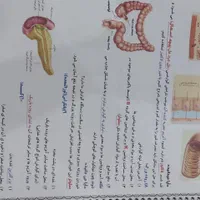 جزوه ریاضی و علوم|کتاب و مجله آموزشی|شیروان (خراسان), |دیوار