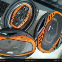 ضبط و باند سیستمی