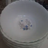 ظروف آلکوپال