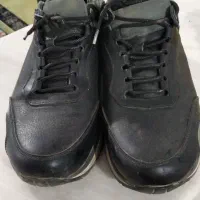 کفش مردانه وزنانه|کیف، کفش، کمربند|الشتر, |دیوار