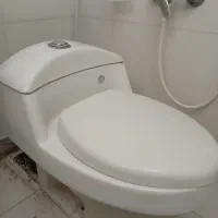 توالت فرنگی (دستشویی فرنگی) ایساتیس|لوازم سرویس بهداشتی|شیراز, وصال|دیوار