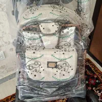 کالسکه دلیجان بدنه بنیتا پرو  (کاملا نو وصفر)