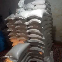 طارم هاشمی فریدونکنار