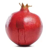 انجام حجامت فوق تخصصی