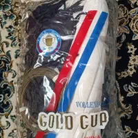 تور والیبال