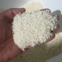 برنج ایرانی خرید مستقیم از برنجکار