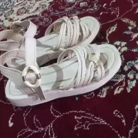 صندل در حد نو