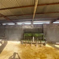 دستگاه برگز همدان