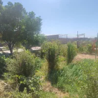 فروش ۲۸۰۰متر باغ و دامداری در تربت جام|فروش دفتر صنعتی، کشاورزی، تجاری|تربت جام, میان جام|دیوار