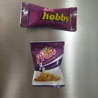 مگنت مینیاتوری(آهنربا مخفی)