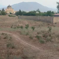 زمین-باغی