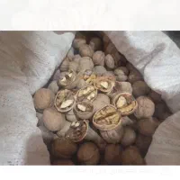گردو پوست کاغذی مغز سفیددرصد بالا