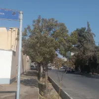 سوییت دربست .در بهترین موقعیت