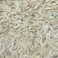 جو سفید آبی