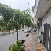 اجاره مغازه  نوشهر تازه آباد بلوار  اصلی