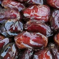 خرما و قصب دشتستان بخش پشتکوه|خوردنی و آشامیدنی|جاسک, |دیوار