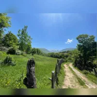 ویلا جنگلی کوهستانی|فروش خانه و ویلا|کجور, |دیوار