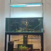 آکواریوم ریملس-نور -فیلتر ایهایم ۲۲۱۵