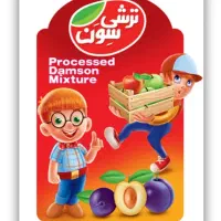 بازاریابی با حقوق ثابت