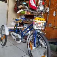 سه چرخ دوچرخه کولکسیونی