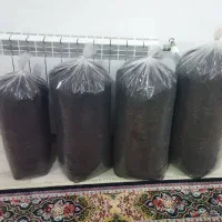 چای کارگاهی