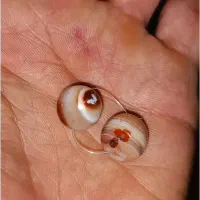 تعدادی مهره