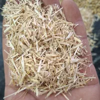 جو کاه نان خشک