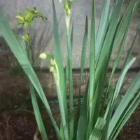 جوشکاری سیار ،تمام وقت