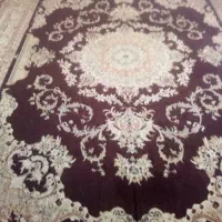 فرش ماشینی 12 متری|فرش|گلبهار, شهر جدید گلبهار|دیوار