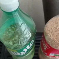 غذای  پرنده